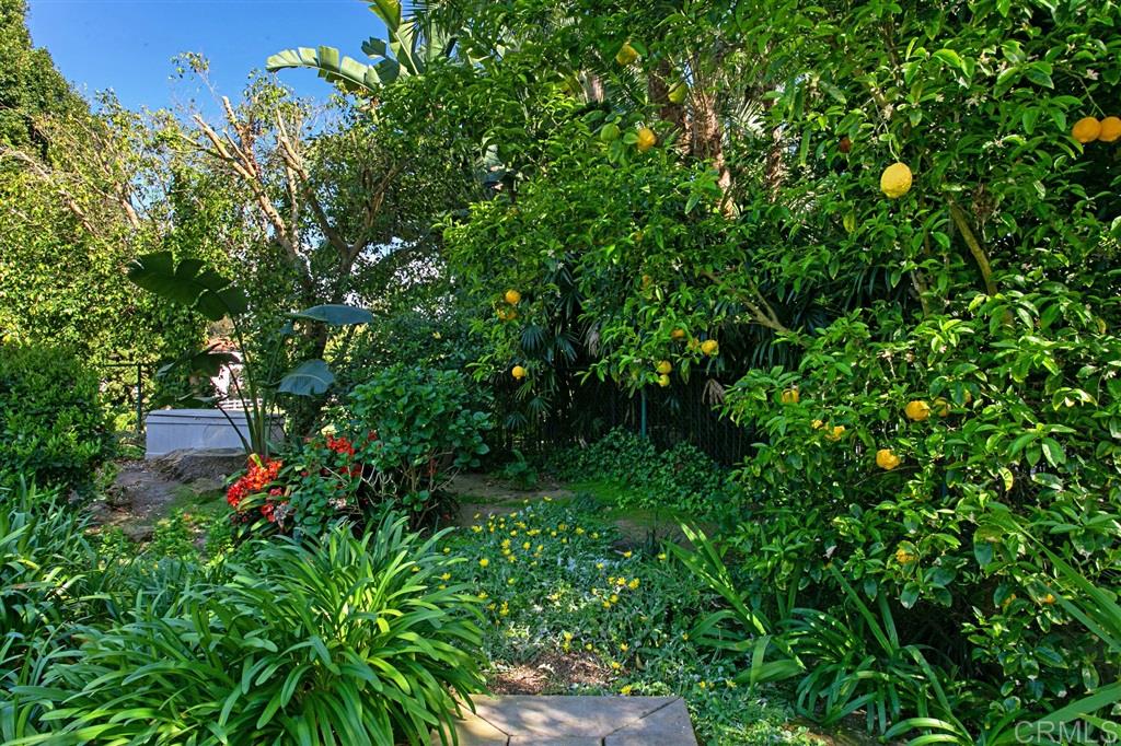 2075 Playa Road Carlsbad, CA 92009 - Photo 24 of 24 Gallery Image 24