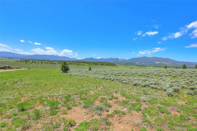 a view of a field with an trees