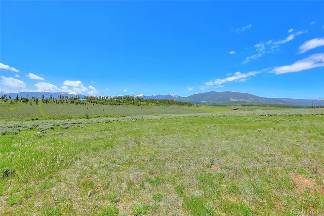 a view of a field with an ocean