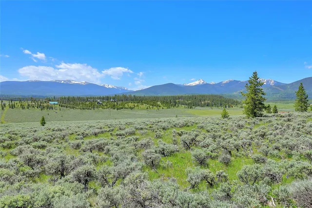a view of a lush green hillside and a houses