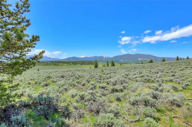 a view of a yard with an trees