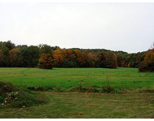 6 Rattlesnake Gutter Road Leverett, MA 01054 - Photo 3 of 13 a view of grassy field with mountain