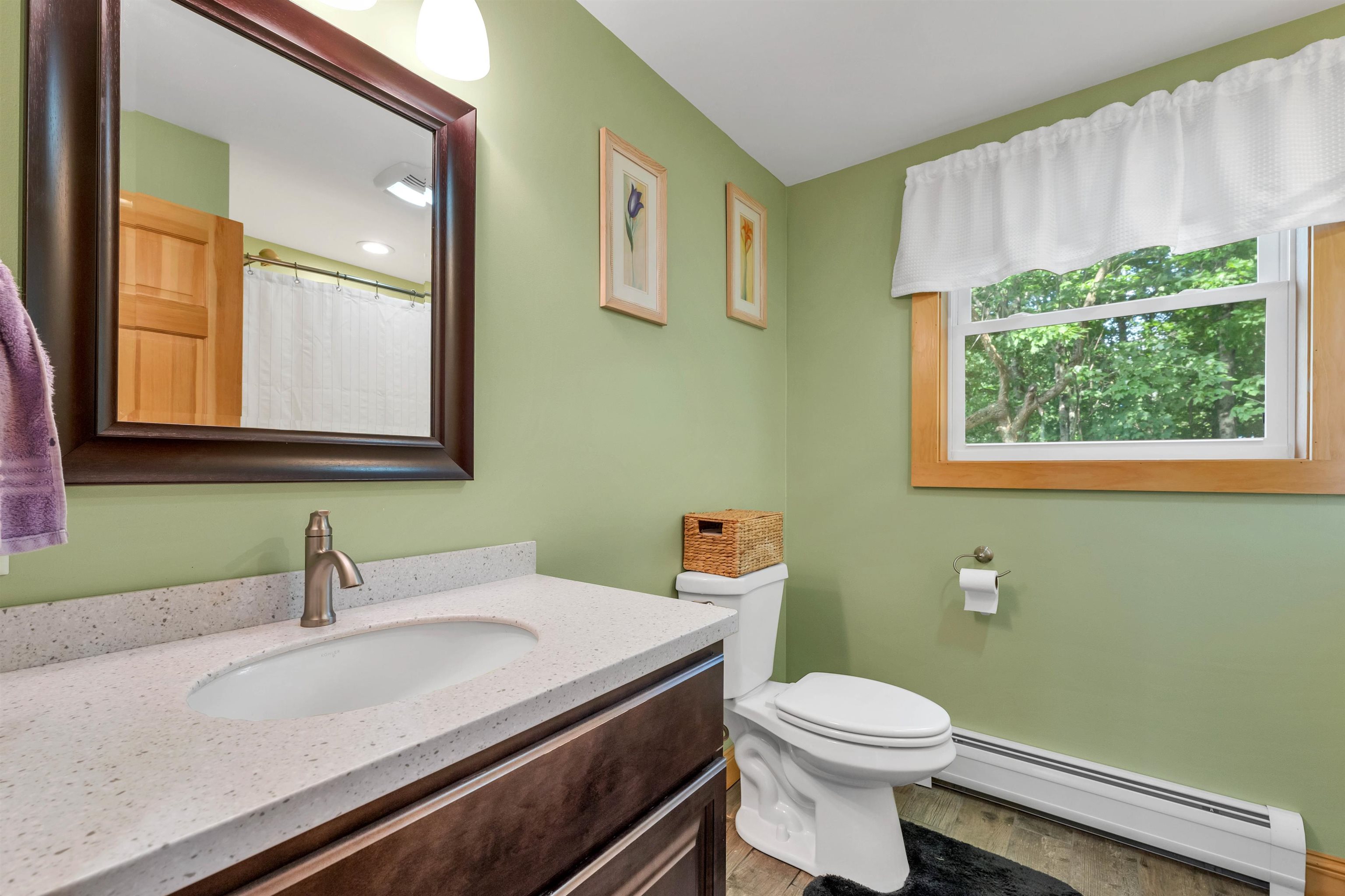 328 Varney Road Barnstead, NH 03225 - Photo 6 of 40
