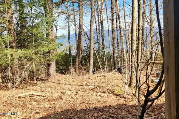 $390,000 | 15 Braley Lane, Bolton, NY 12814