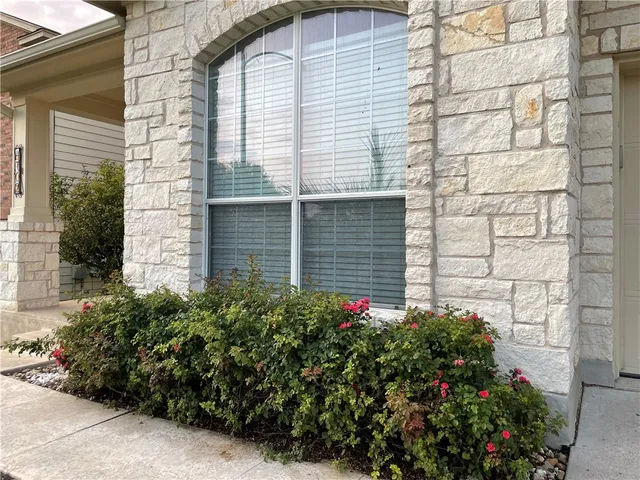 a view of a house with a potted plant
