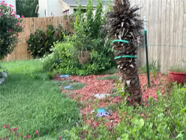 a picture of flowers