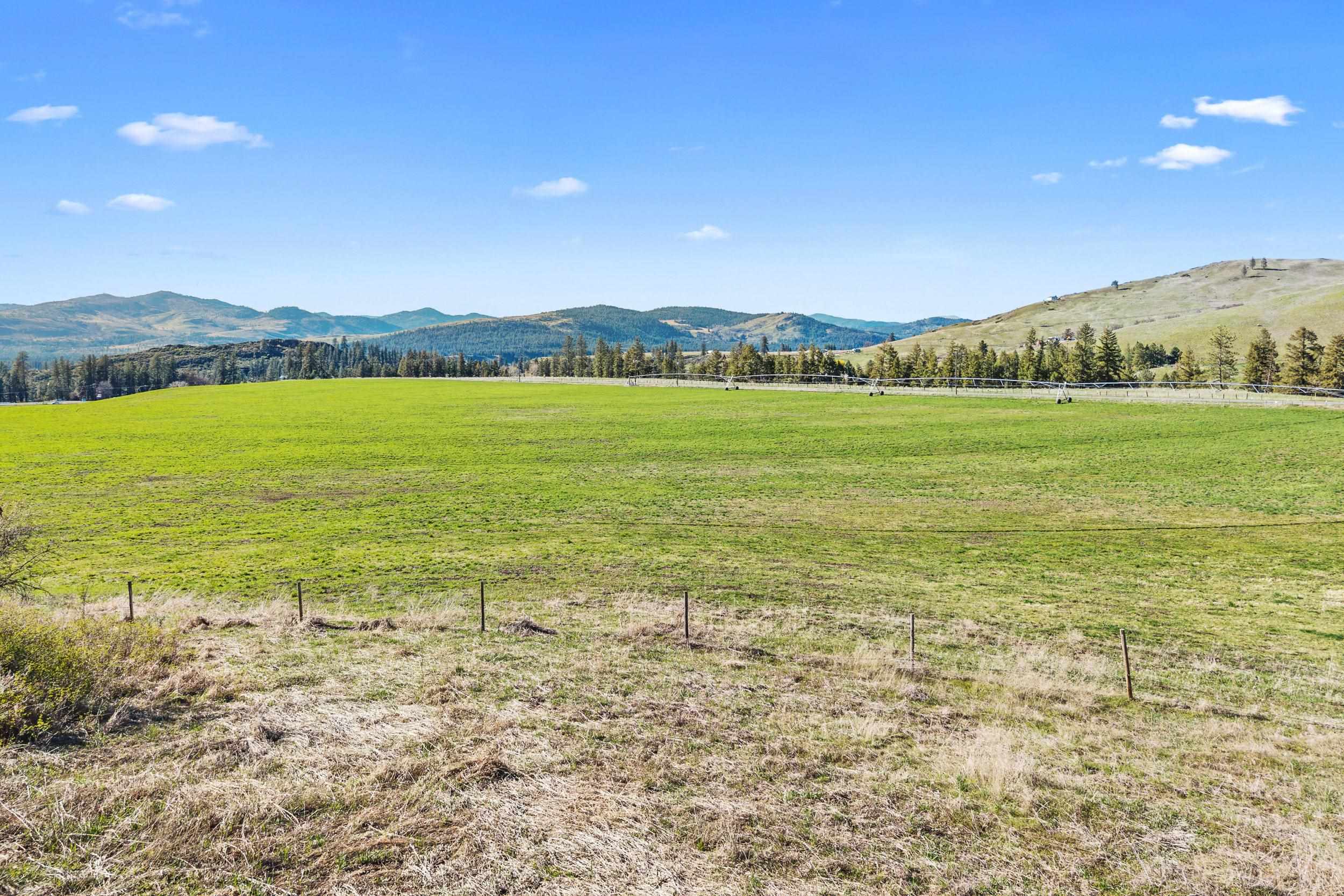 37-xx Cedonia-Addy Road Hunters, WA 99137 - Photo 11 of 15