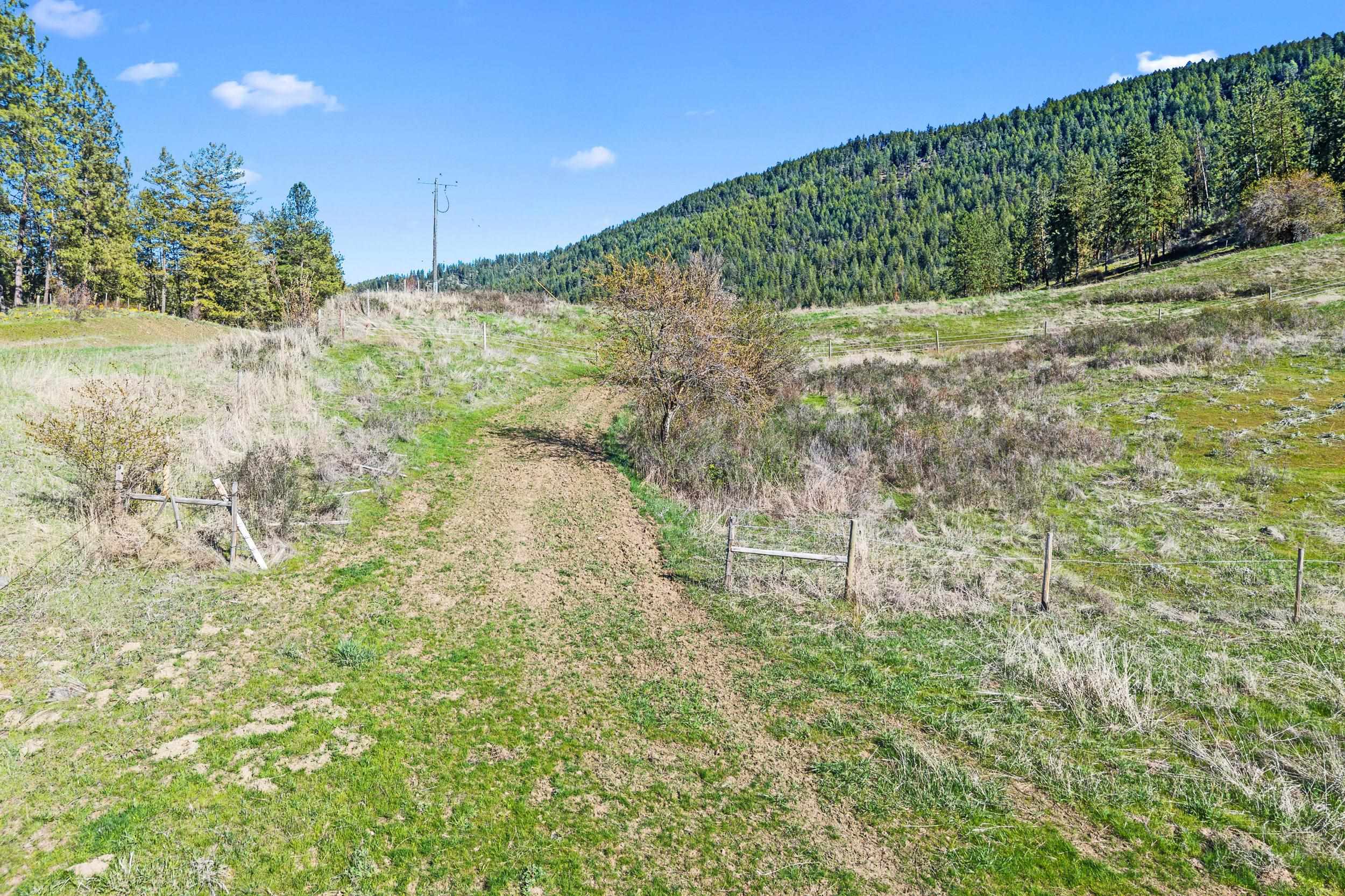 37-xx Cedonia-Addy Road Hunters, WA 99137 - Photo 13 of 15