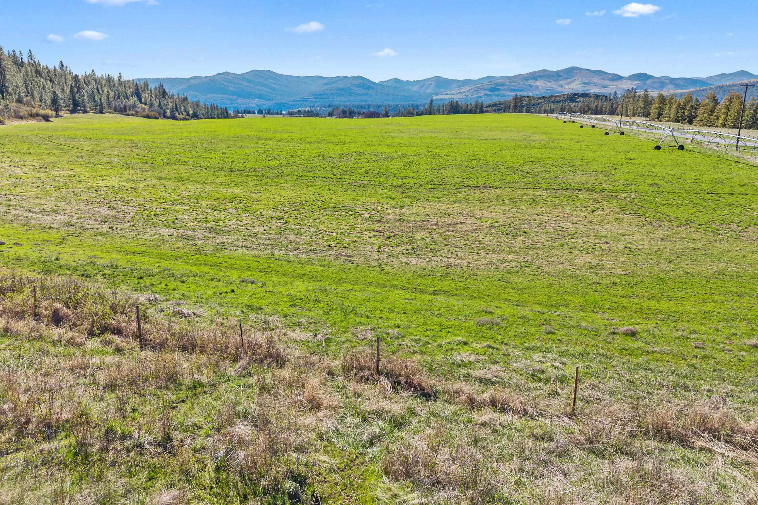 37-xx Cedonia-Addy Road Hunters, WA 99137 - Photo 7 of 15