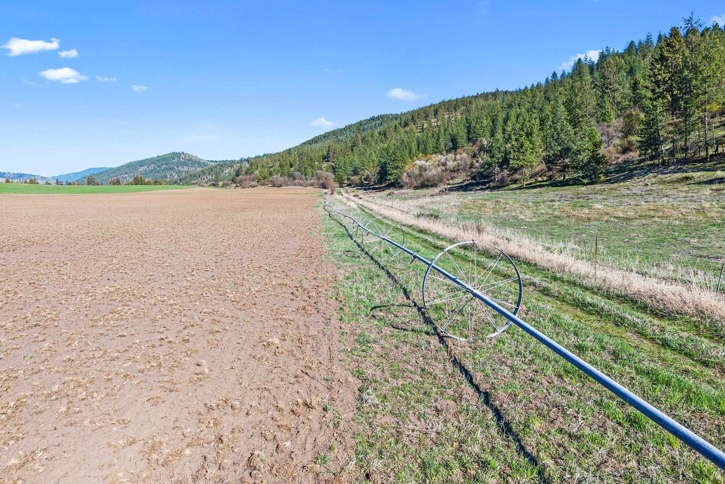 37-xx Cedonia-Addy Road Hunters, WA 99137 - Photo 9 of 15