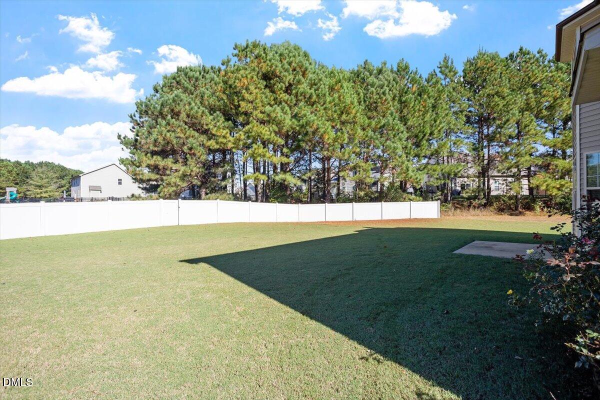 4222 Vineyard Ridge Drive Zebulon, NC 27597 - Photo 25 of 39 a view of an outdoor space and a yard