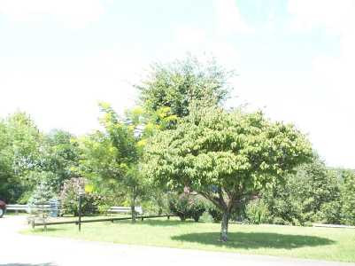 2 Circle Street Beattyville, KY 41311 - Photo 2 of 8 Photo 2
