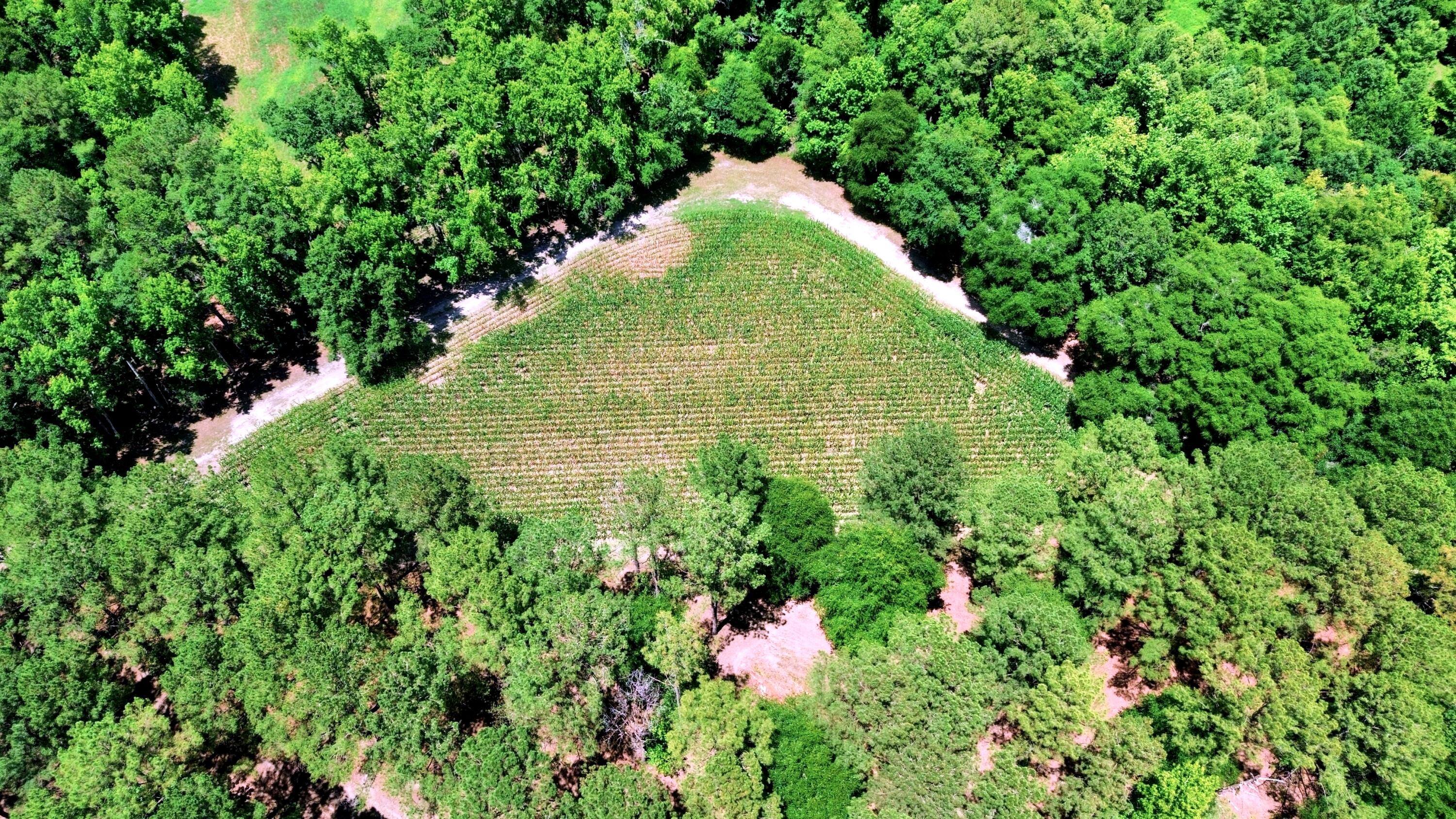 1970 Cross Swamp Road Islandton, SC 29929 - Photo 143 of 150