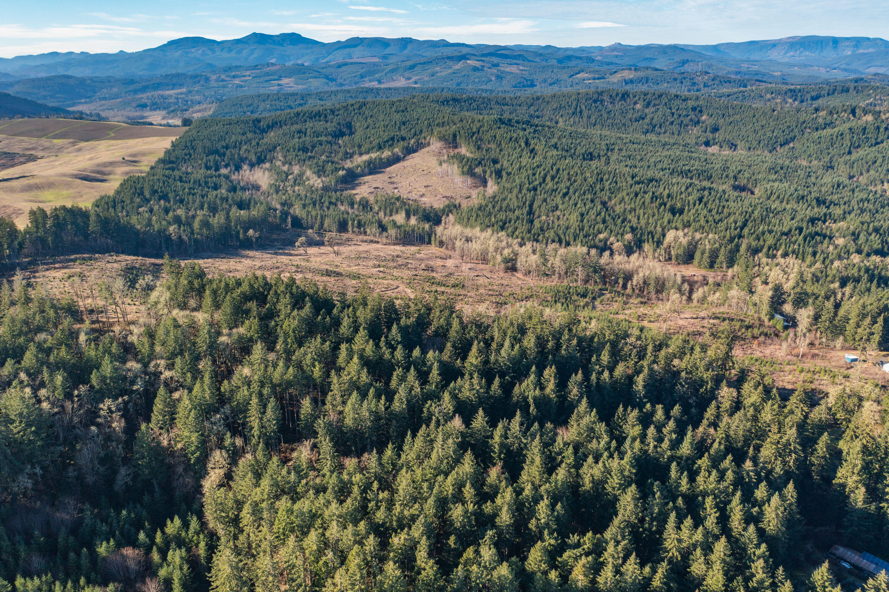 0 Airlie Road Monmouth, OR 97361 - Photo 2 of 33 Export-0884