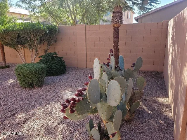 a view of a backyard of a house