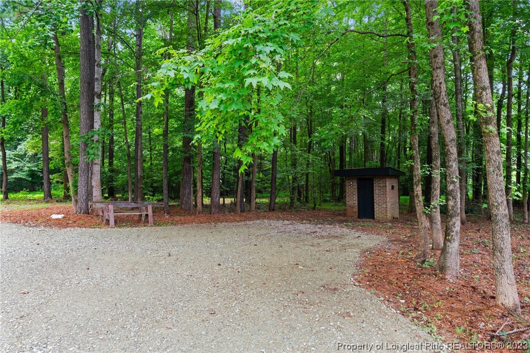 287 Doyle Cox Road Sanford, NC 27330 - Photo 27 of 35 a view of a house with backyard and trees