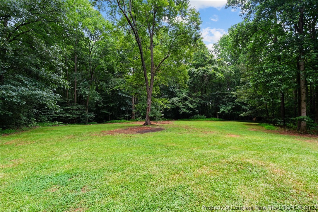 287 Doyle Cox Road Sanford, NC 27330 - Photo 30 of 35 a view of a field with a trees