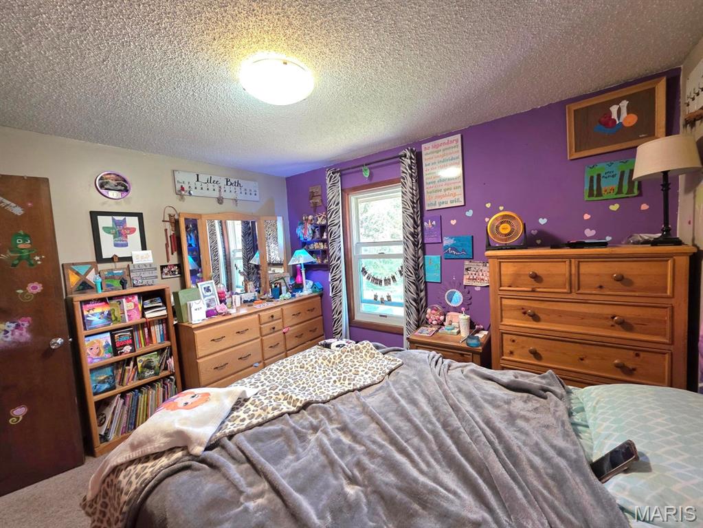 966 Cleveland Road Houston, MO 65483 - Photo 16 of 54