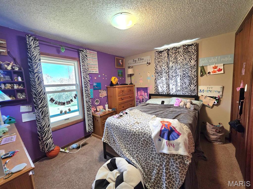 966 Cleveland Road Houston, MO 65483 - Photo 17 of 54