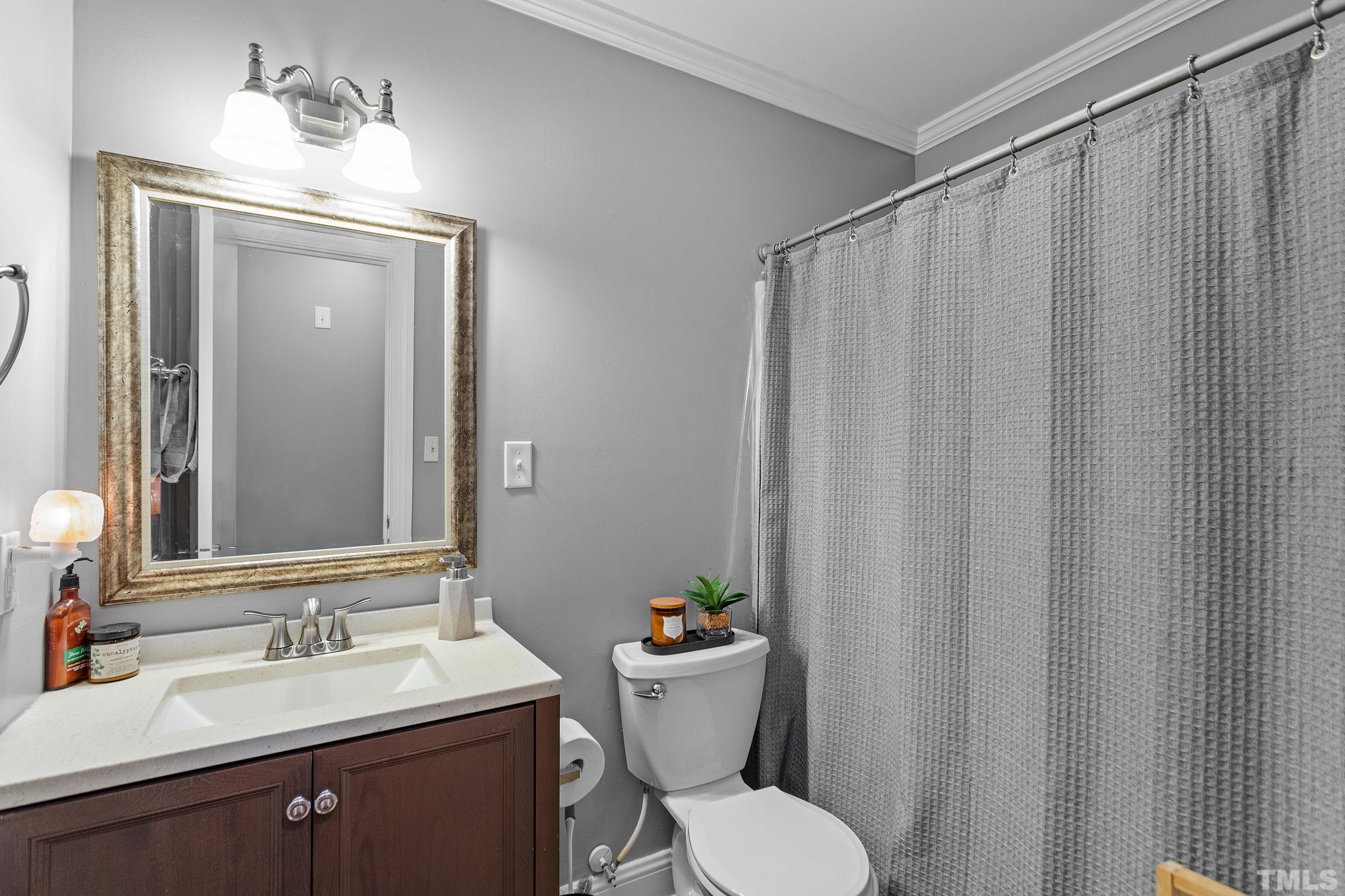 1650 Bloomery Road Bailey, NC 27807 - Photo 31 of 34 a bathroom with a sink a toilet a mirror and shower curtain