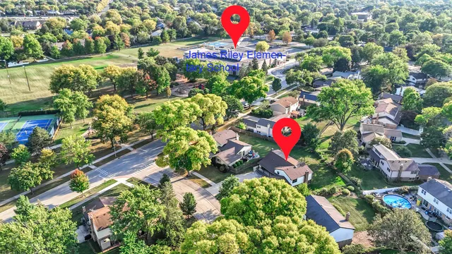 view of the city and flowers