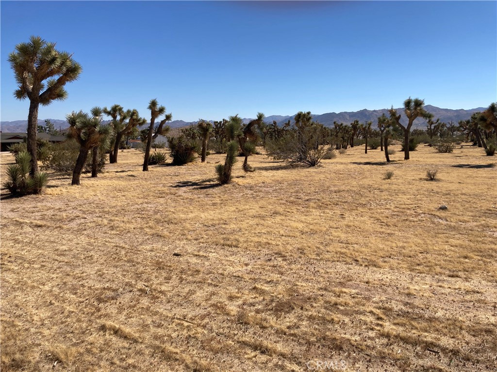 0 Forest Drive Yucca Valley, CA 92284 - Photo 2 of 5 a view of a covered with snow