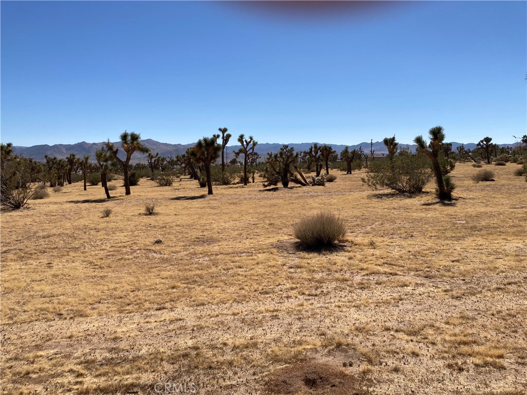 0 Forest Drive Yucca Valley, CA 92284 - Photo 3 of 5 a view of a ocean beach