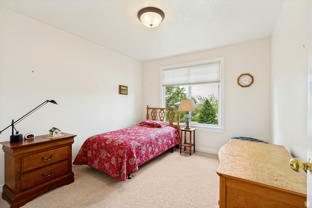 298 North Canyon Road Bountiful, UT 84010 - Photo 25 of 57 Bright room featuring a large window, neutral carpeting, and a ceiling-mounted light fixture