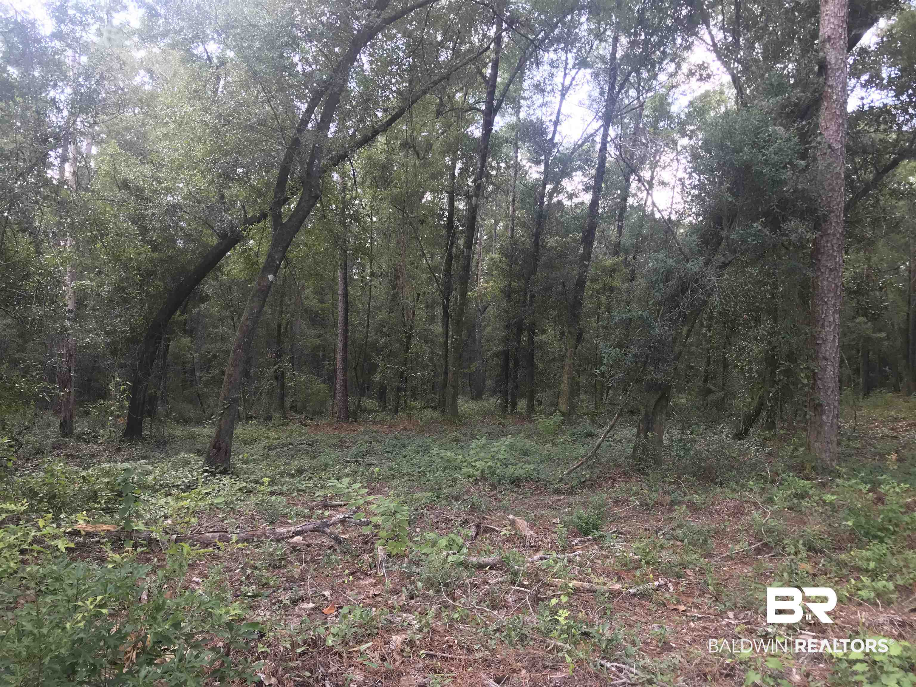 14268 State Highway Silverhill, AL 36576 - Photo 12 of 17 View of landscape