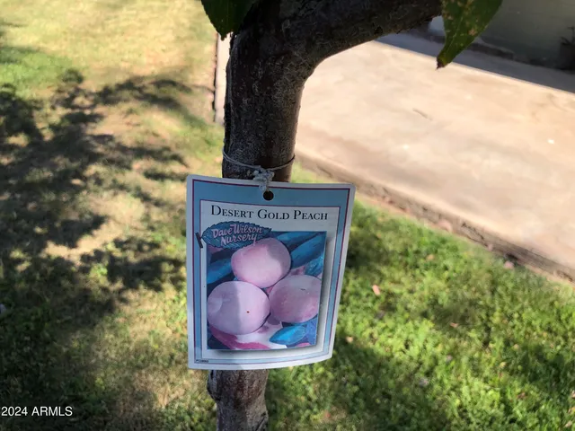 $1,275 | 2020 South Granada Drive, Unit 4, Tempe, AZ 85282