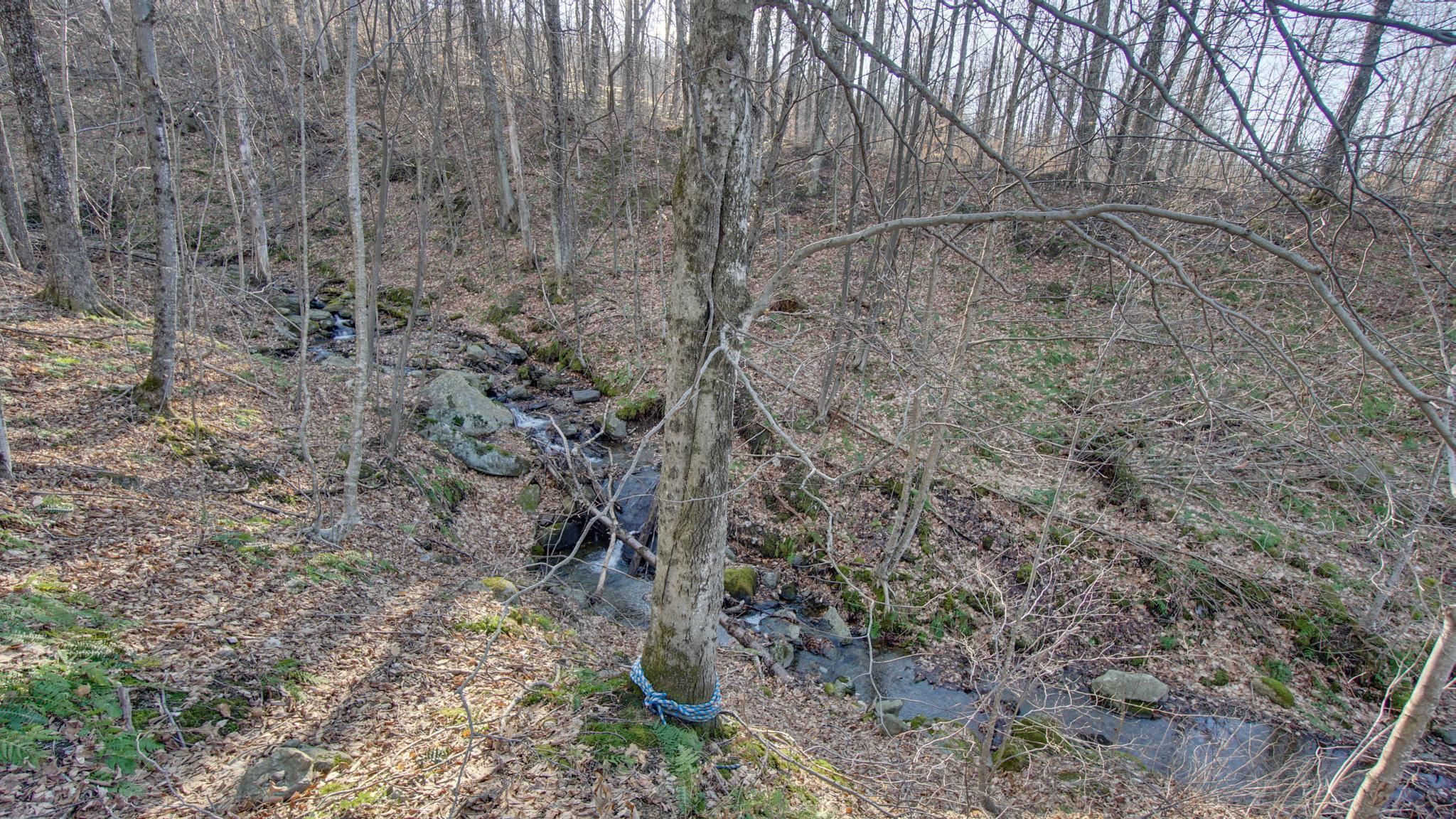 1900 Happy Hollow Road Huntington, VT 05462 - Photo 2 of 20 Gallery Image 2