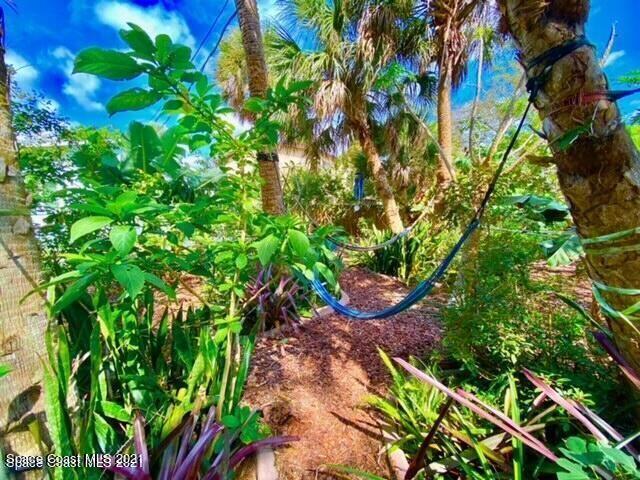411 Audubon Drive Melbourne, FL 32901 - Photo 19 of 47 a plant that is in a garden
