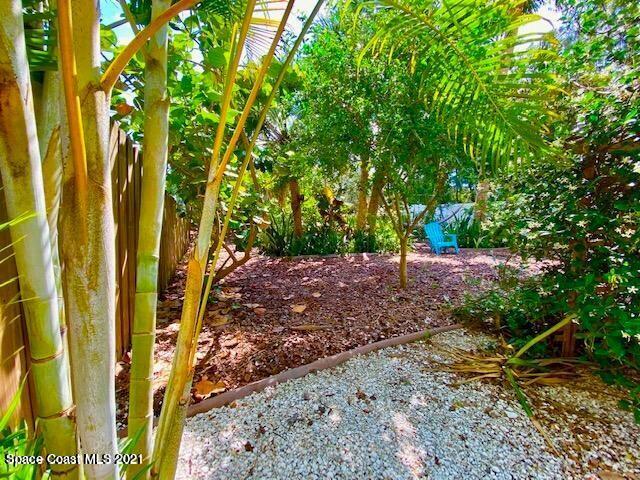 411 Audubon Drive Melbourne, FL 32901 - Photo 20 of 47 a view of a yard with plants and tree