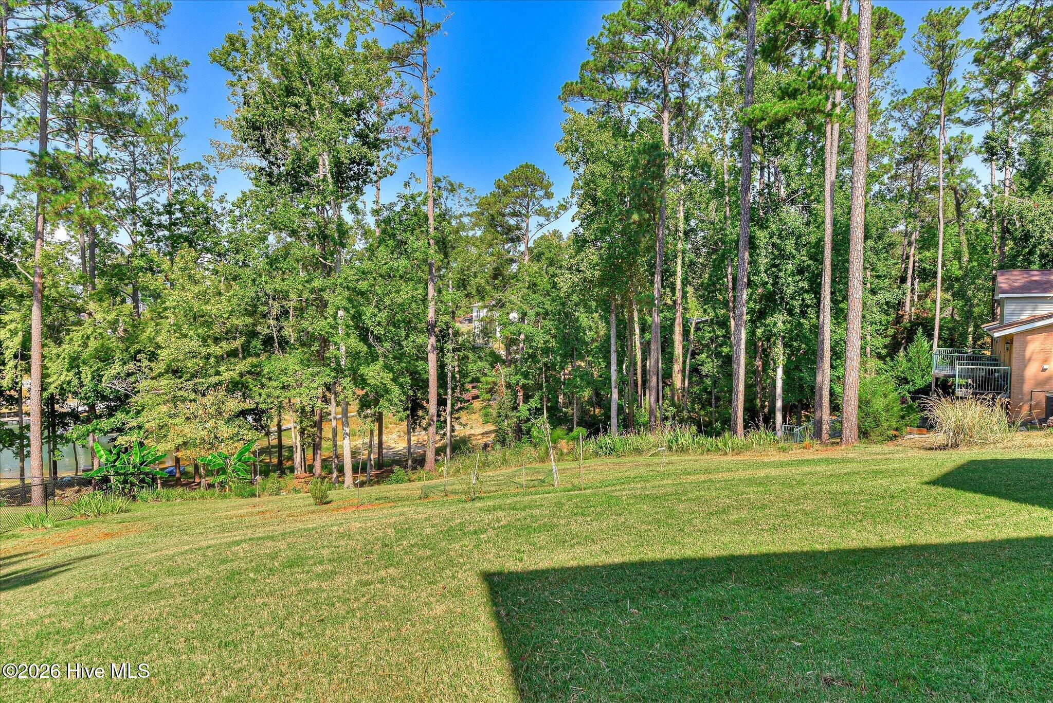 122 State Rd S-33-650 Modoc, SC 29838 - Photo 43 of 48 Backyard