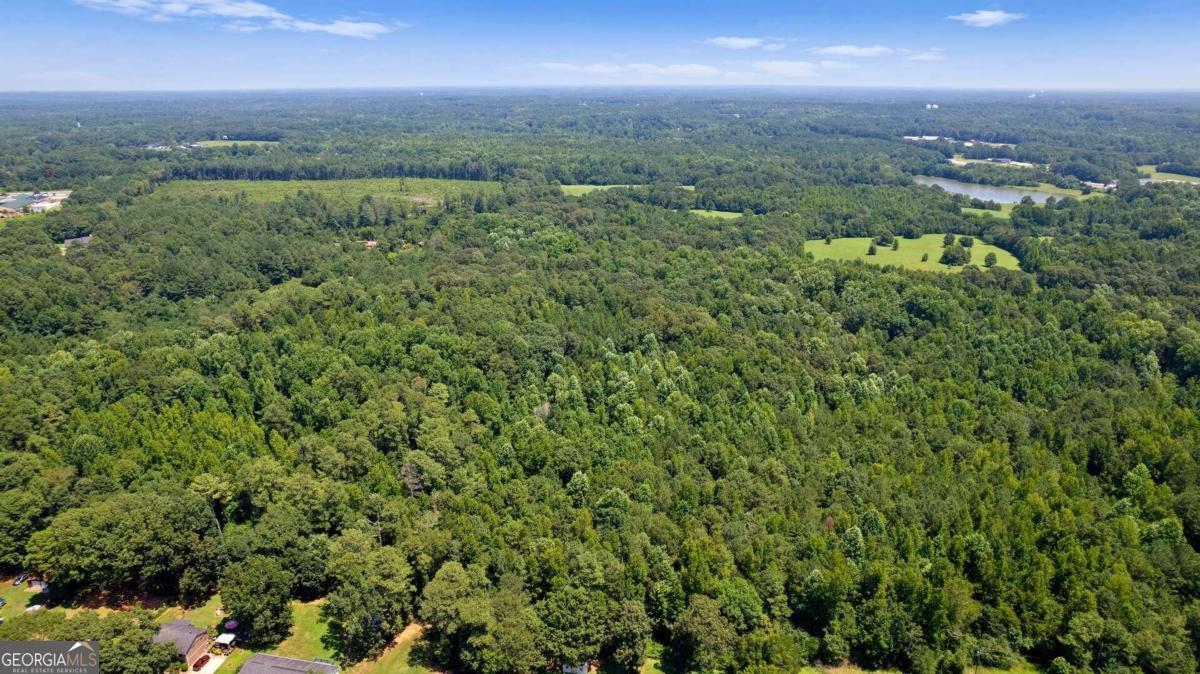 a view of a city with lush green forest