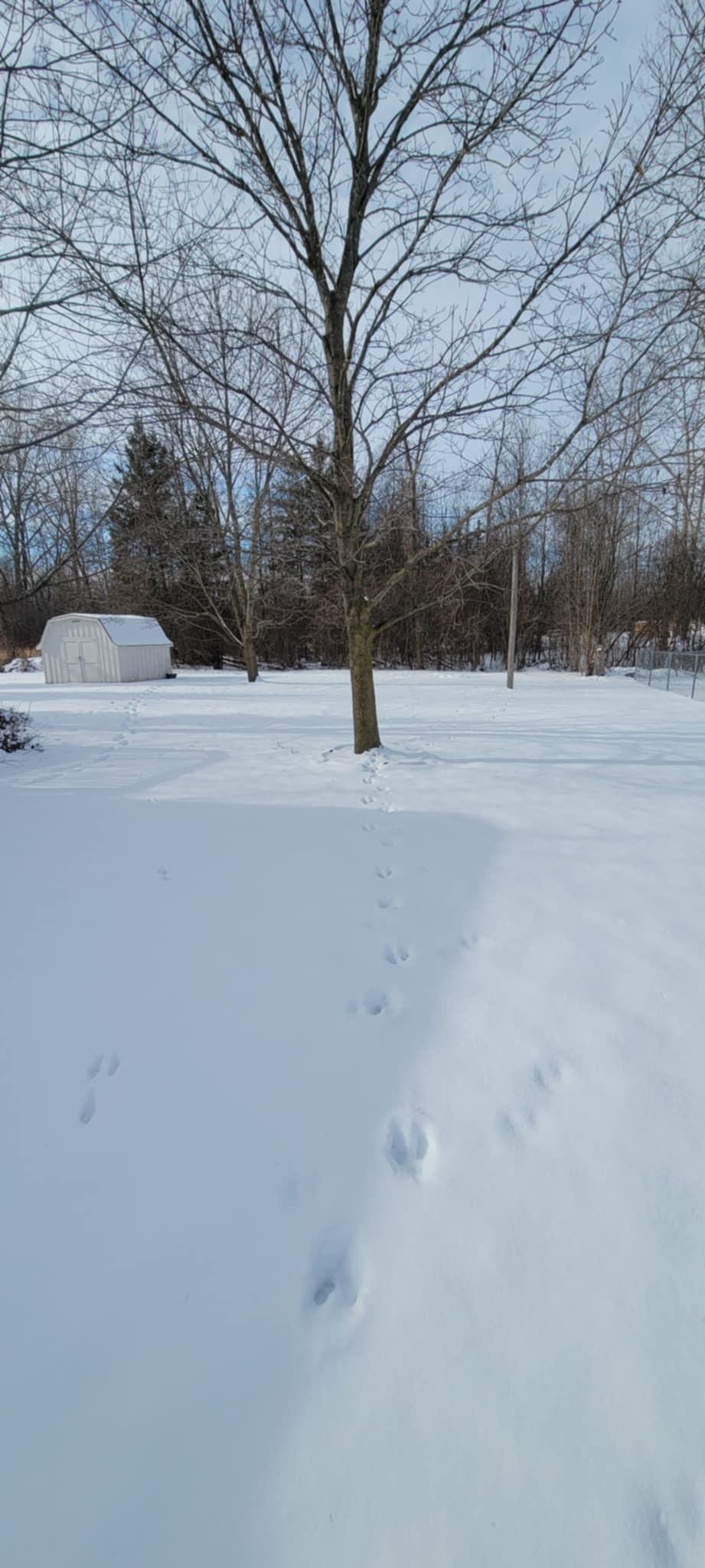 3586 Bangor Road Bay City, MI 48706 - Photo 10 of 24 Gallery Image 10