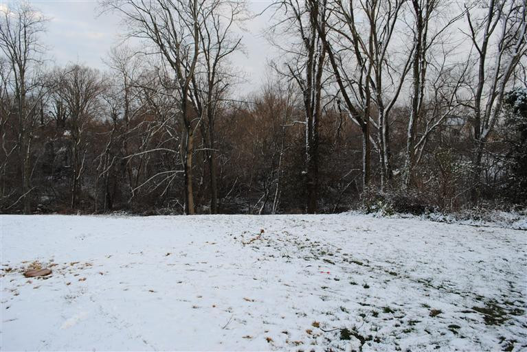 3674 Neltner Road Alexandria, KY 41001 - Photo 7 of 21 Gallery Image 7