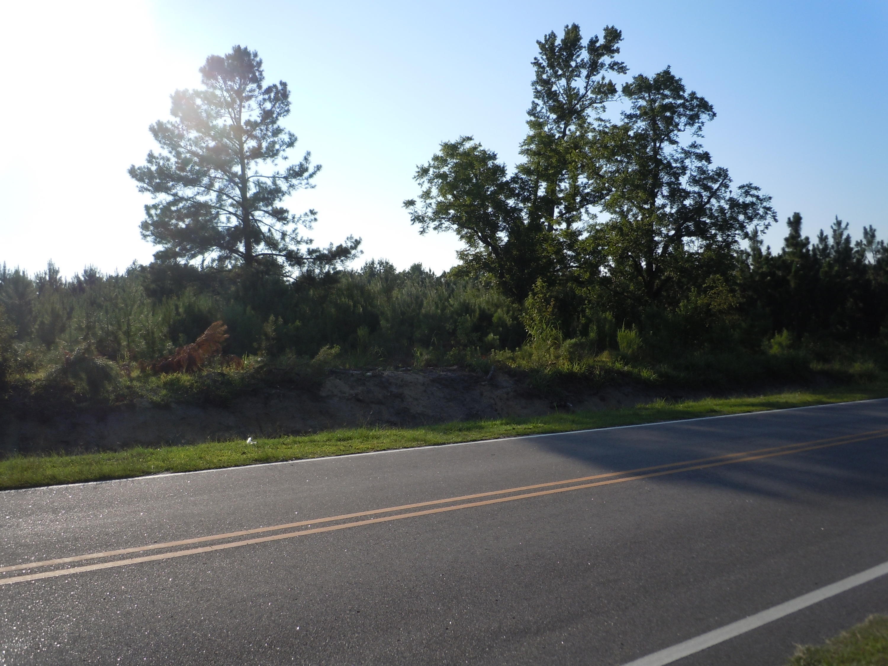 1444 Wright Road Tabor City, NC 28463 - Photo 8 of 9 James Bennett Land 015