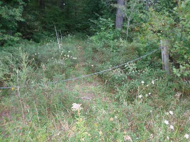 59 Pine Tree Road Smithfield, ME 04978 - Photo 9 of 9 Land/Lot.