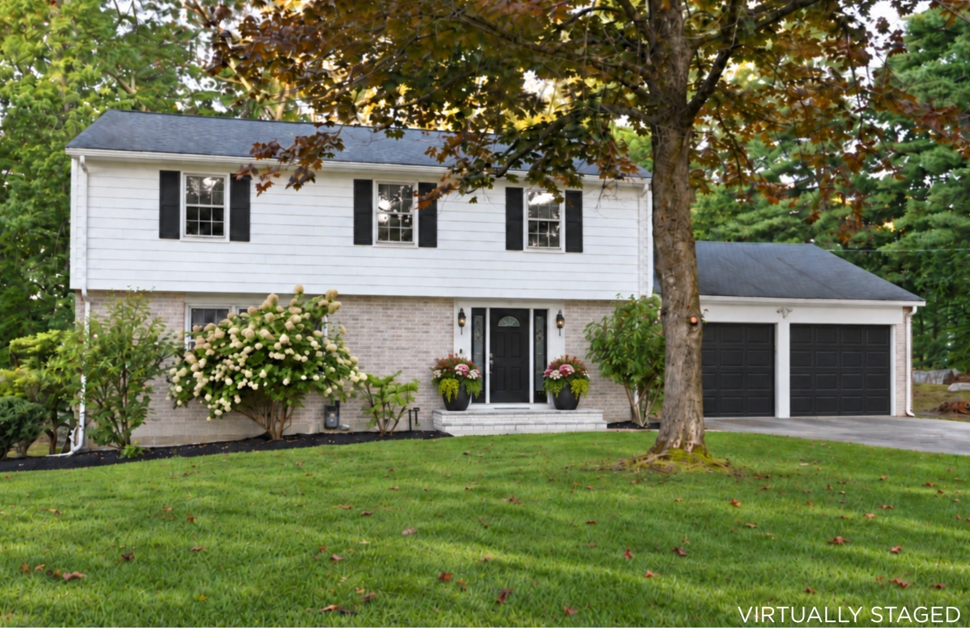 15 Sheridan Road Andover, MA 01810 - Photo 2 of 42 Gallery Image 2