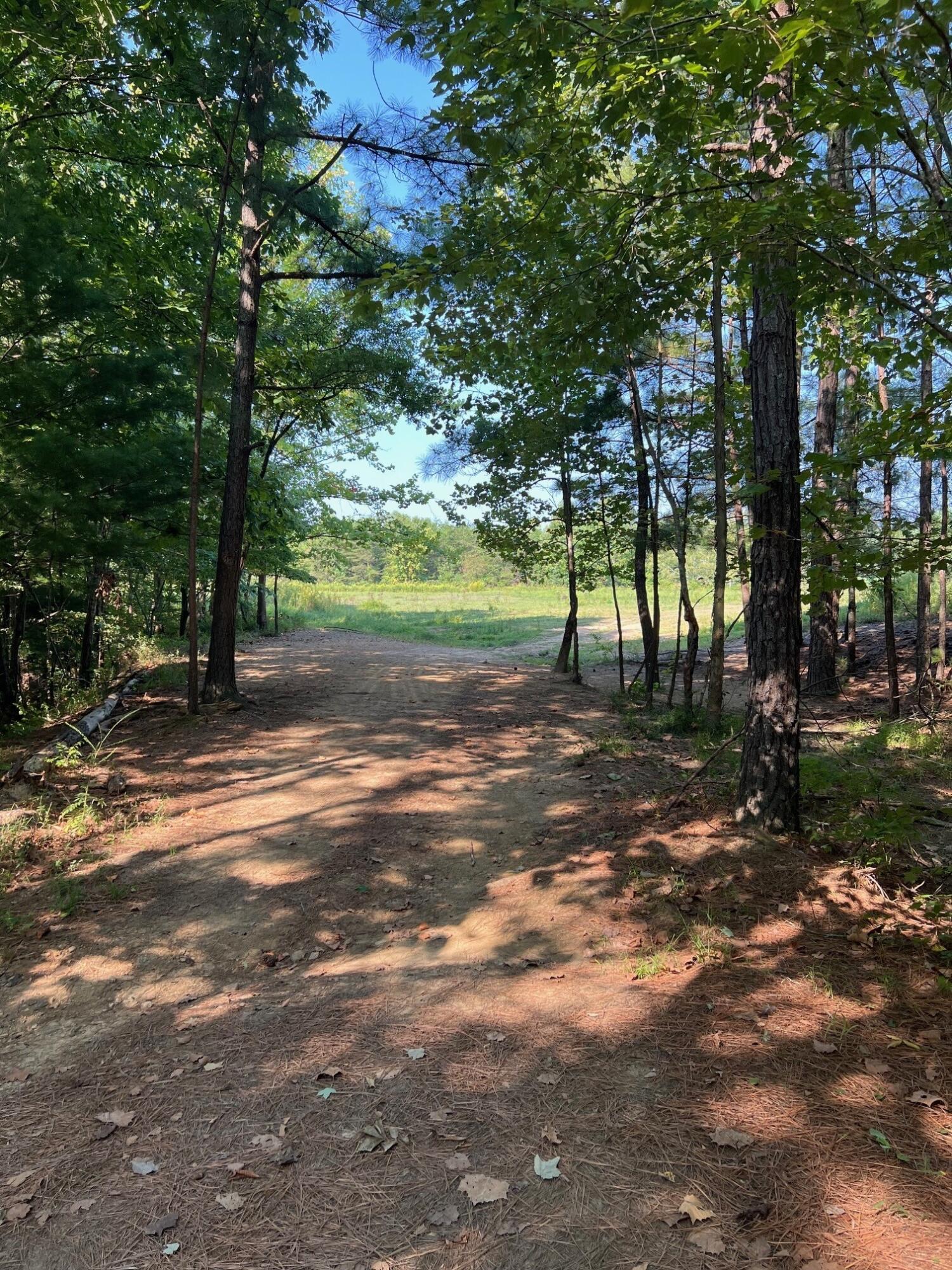 1440 Landsaw Road Campton, KY 41301 - Photo 2 of 27 9