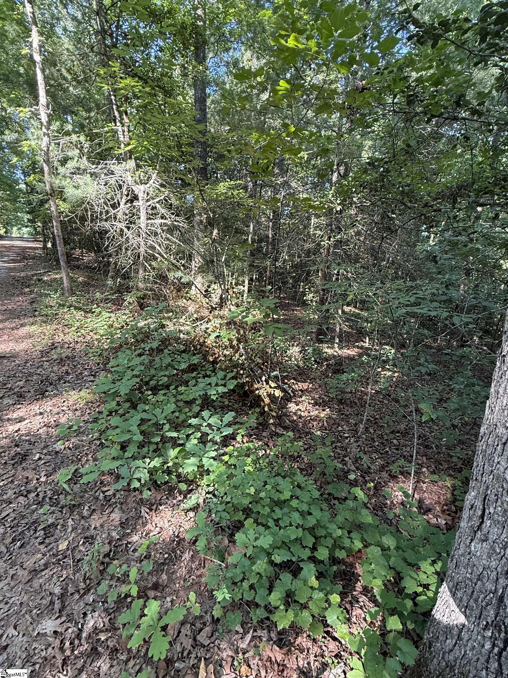 0 Keeler Bridge Road Marietta, SC 29661 - Photo 13 of 15