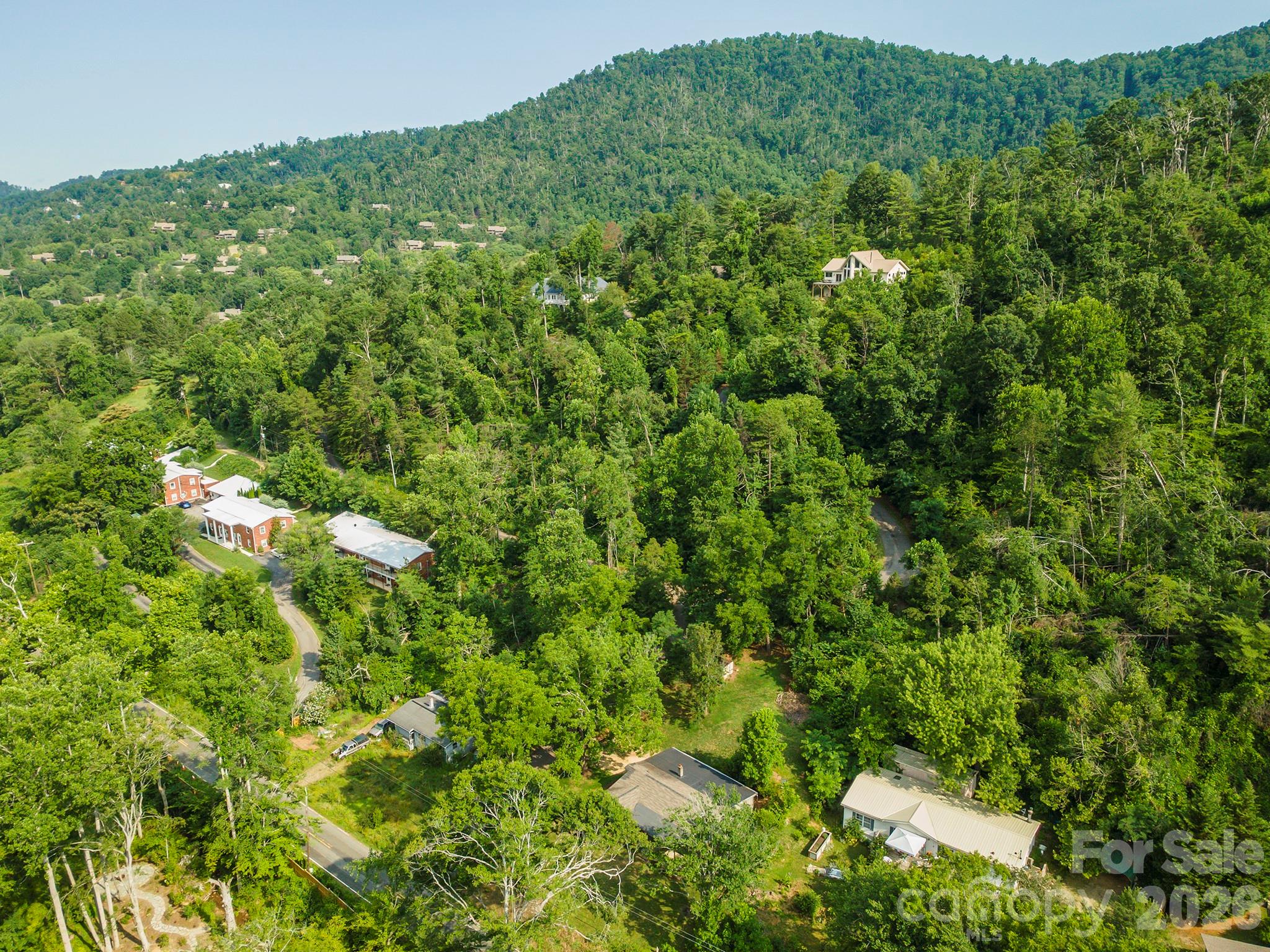 80 Webb Cove Road Asheville, NC 28804 - Photo 35 of 48
