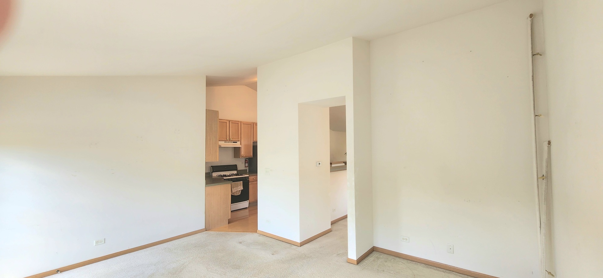 2435 Golf Ridge Circle, Unit 2435 Naperville, IL 60563 - Photo 10 of 20