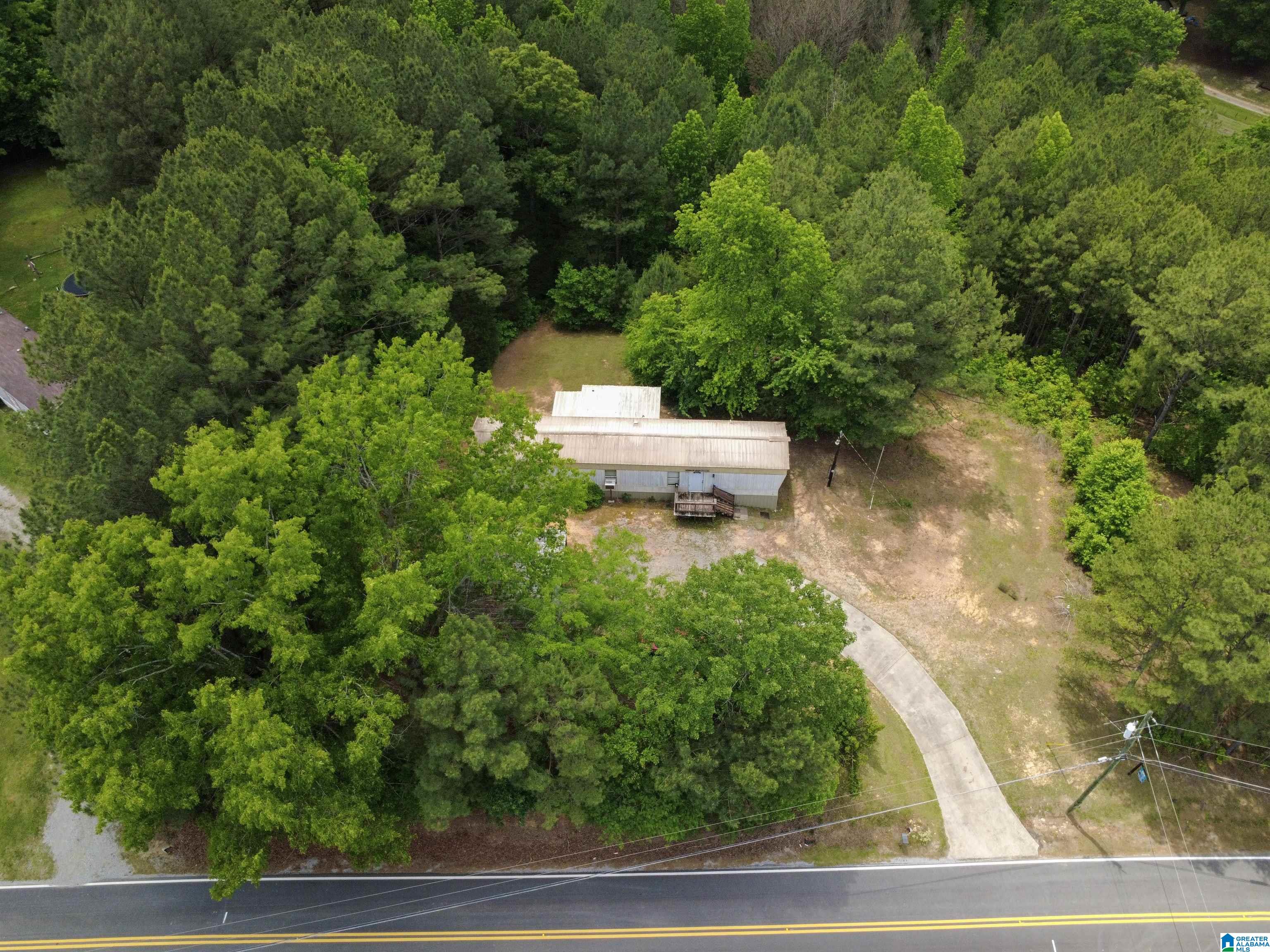 4561 Cook Springs Road Pell City, AL 35125 - Photo 3 of 20