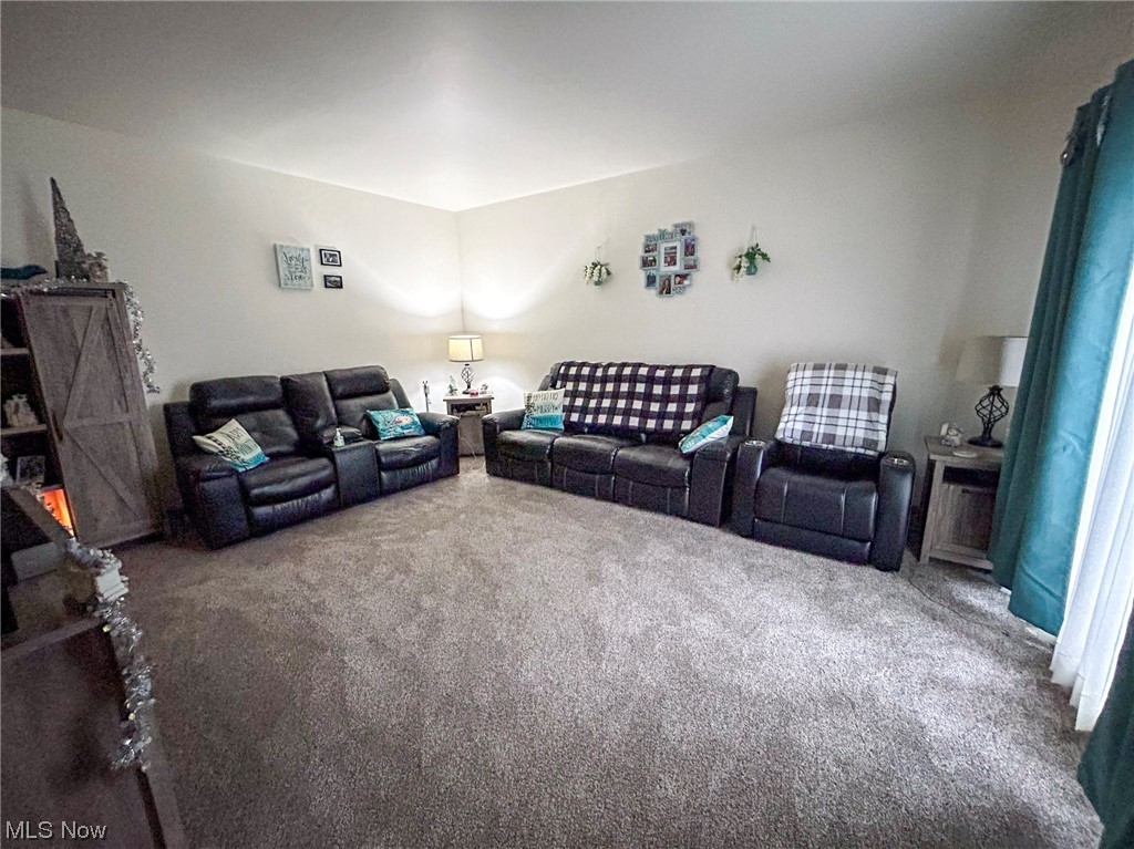 3055 South Raccoon Road Youngstown, OH 44511 - Photo 2 of 29 Gallery Image 2