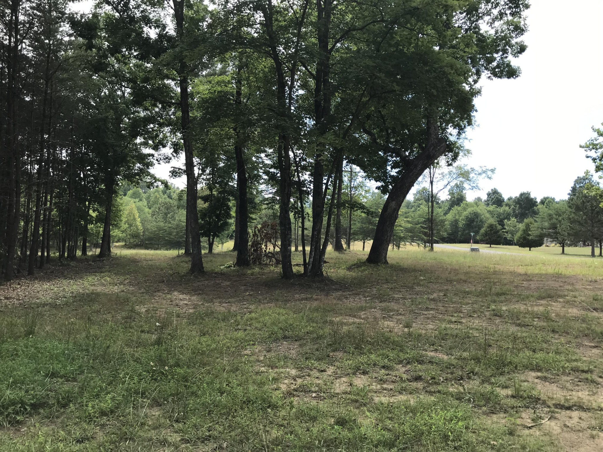 0 Quail Trail Dunlap, TN 37327 - Photo 1 of 36
