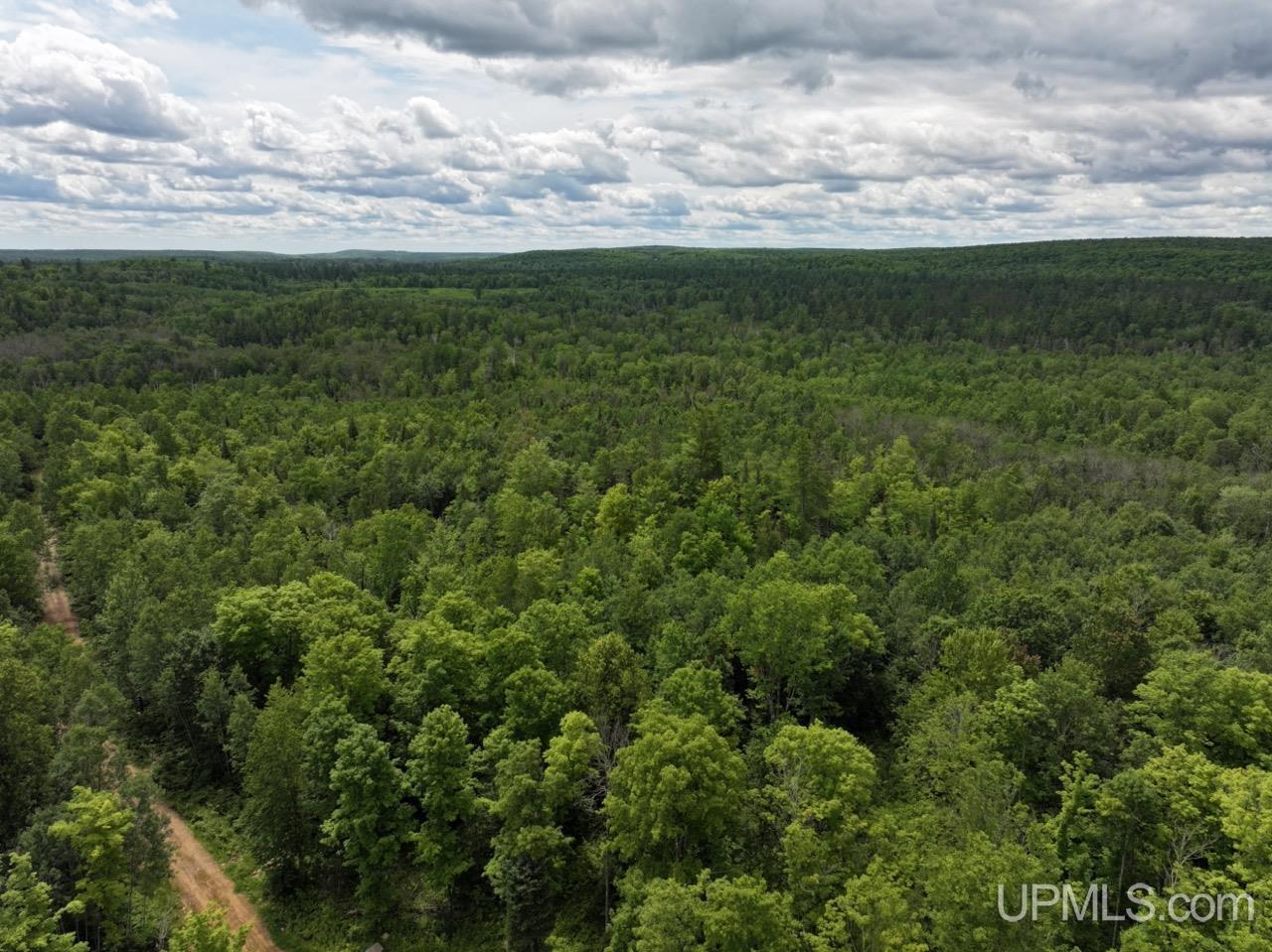 94-acres Off Bates Amasa Road Crystal Falls, MI 49920 - Photo 16 of 38