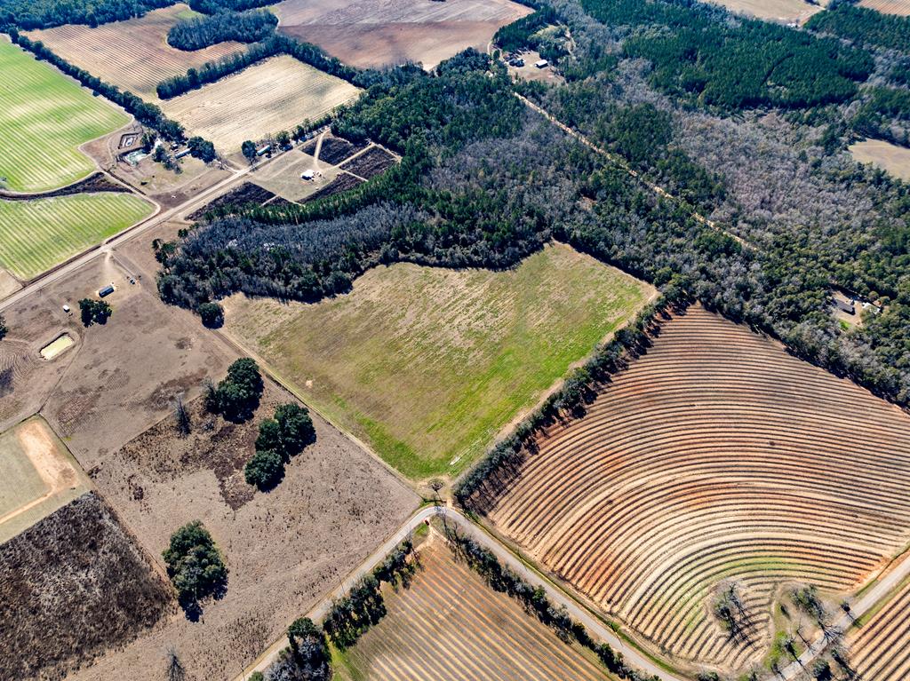 31.5-ac 31.5-ac Rammer Loop Road Dothan, AL 36301 - Photo 7 of 49