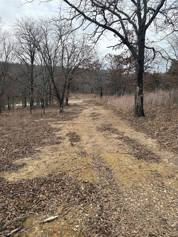 454 Ranchview Court Bowie, TX 76230 - Photo 3 of 9 Driveway to Road view